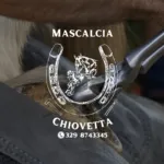 Mascalcia e cura del piede equino con Maniscalco Chiovetta